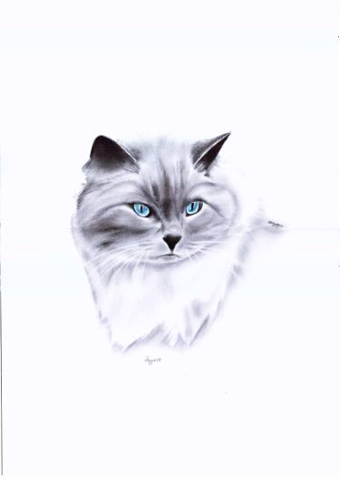 375x530 Rag Doll Drawing - Rag Drawing