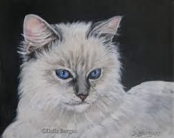 252x200 image result for ragdoll cat drawing cats cats, cat drawing - Ragdoll Cat Drawing