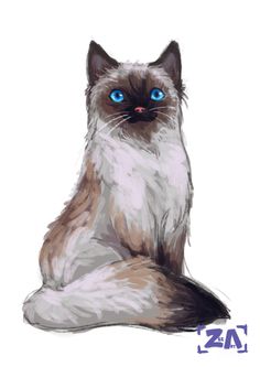 236x333 best cats art - Ragdoll Cat Drawing