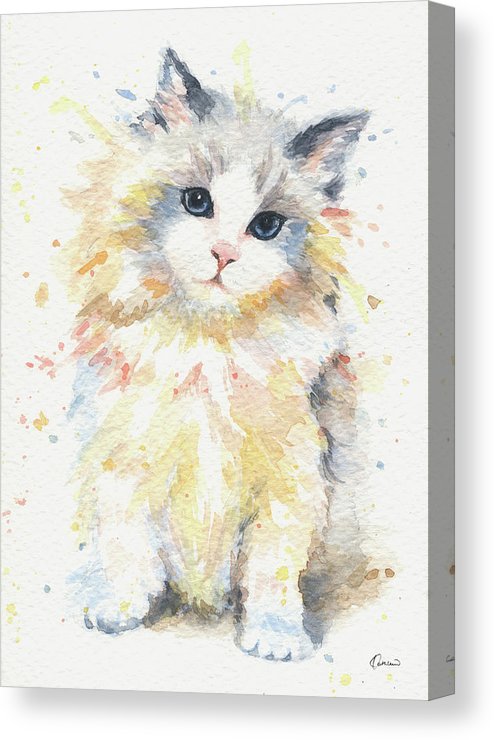 494x740 blue gem ragdoll cat canvas print canvas art - Ragdoll Cat Drawing
