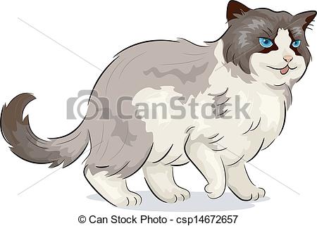 450x321 Illustration Of A Ragdoll Cat - Ragdoll Drawing
