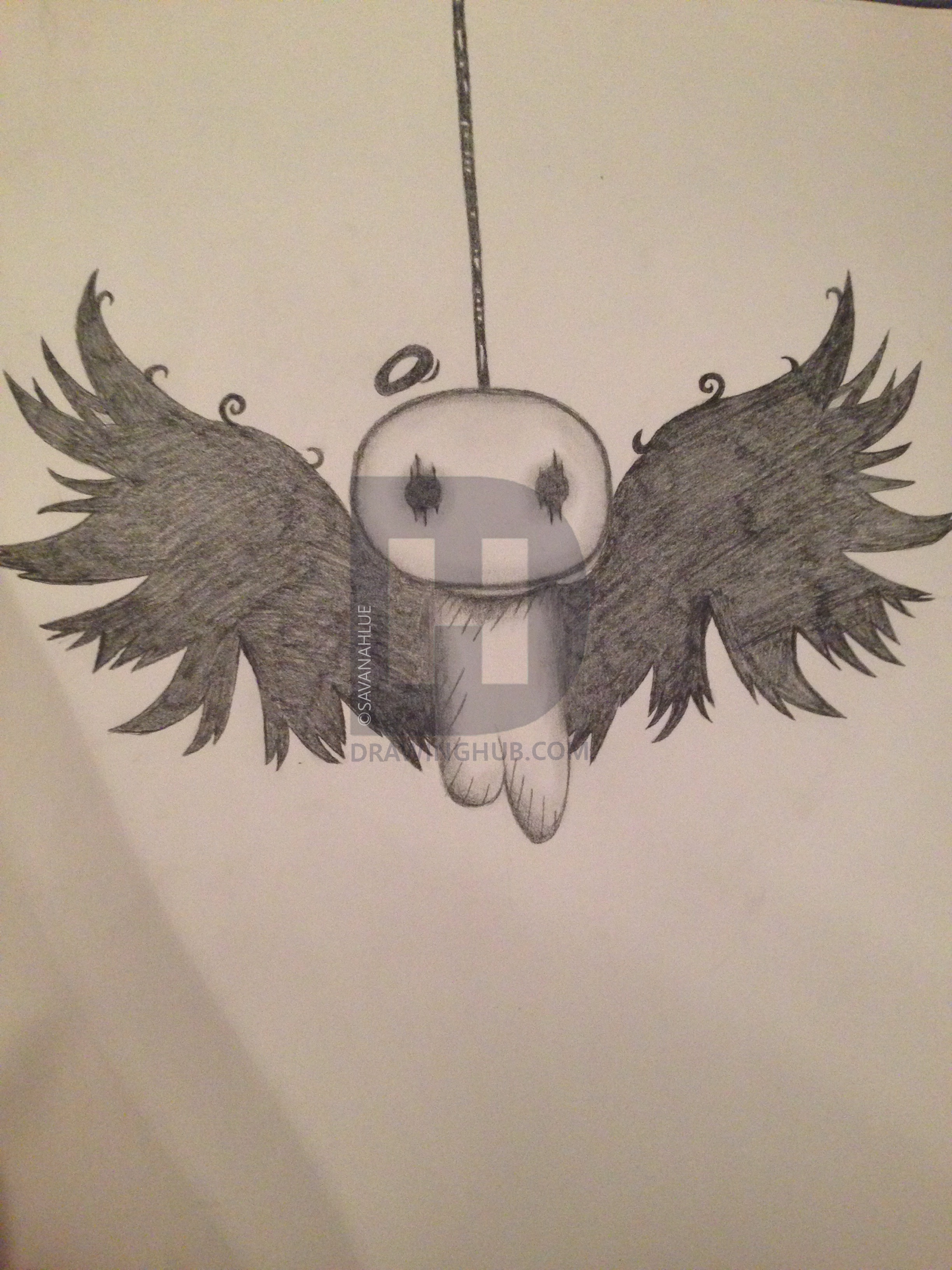 2448x3264 Ragdoll Drawing - Ragdoll Drawing