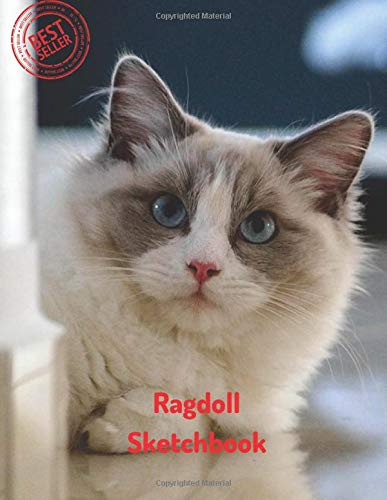 387x500 ragdoll sketchbook blank paper for drawing, doodling or sketching - Ragdoll Drawing