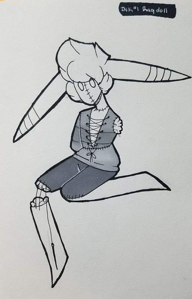 658x1024 Day - Ragdoll Drawing