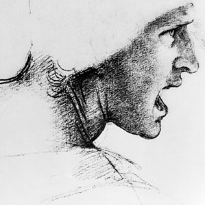 299x300 rage drawings fine art america - Rage Drawing