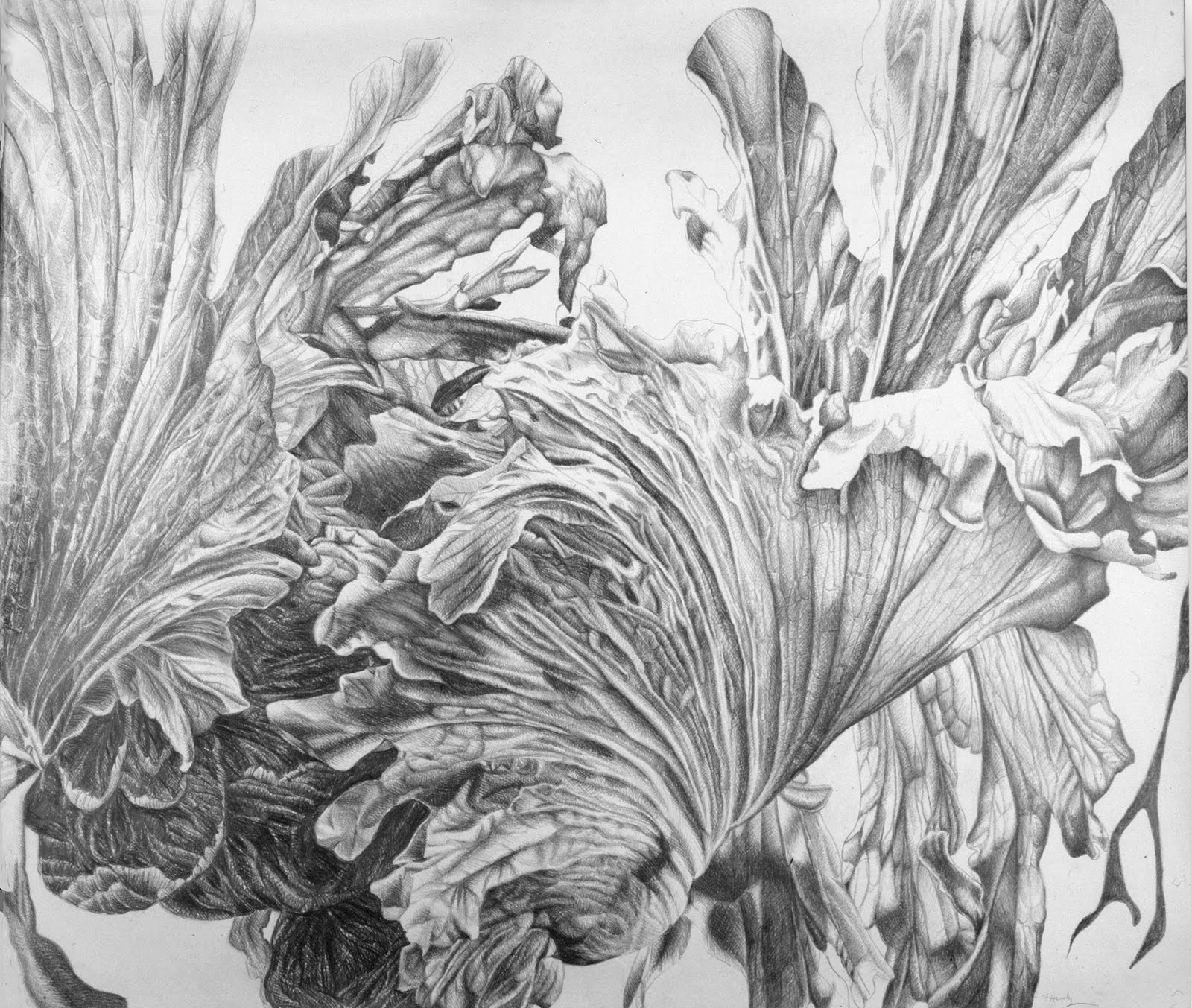 1600x1353 the creative native project drawing up a storm while - Rage Drawing