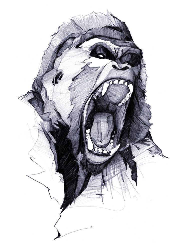 747x1000 wild art print - Rage Drawing