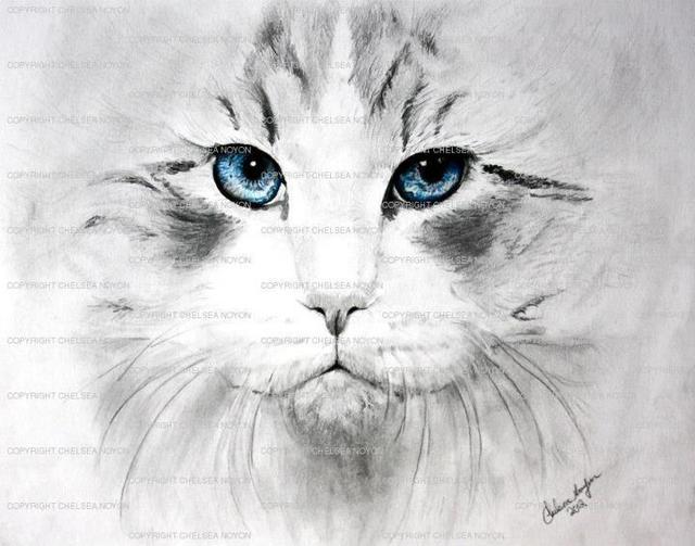 640x503 Chelsea Noyon Artwork Raggedy Ann Original Drawing Pencil - Raggedy Ann Drawing