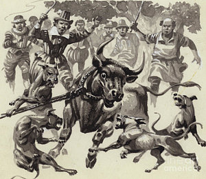 300x261 raging bull drawings pixels - Raging Bull Drawing