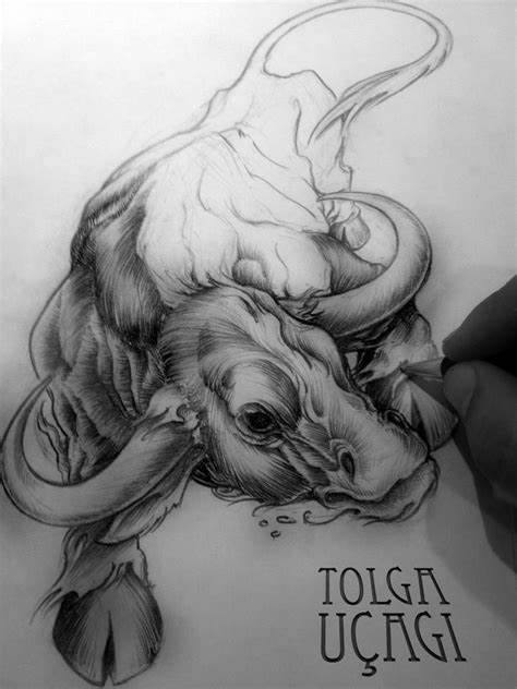 474x632 raging bull drawings gtgt - Raging Bull Drawing