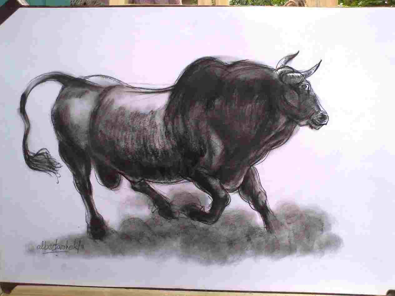 1264x948 raging bull realistic bull drawing - Raging Bull Drawing