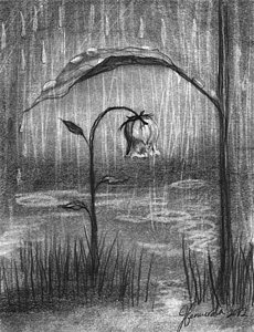 230x300 Raindrop Drawings Fine Art America - Rain Drop Drawing