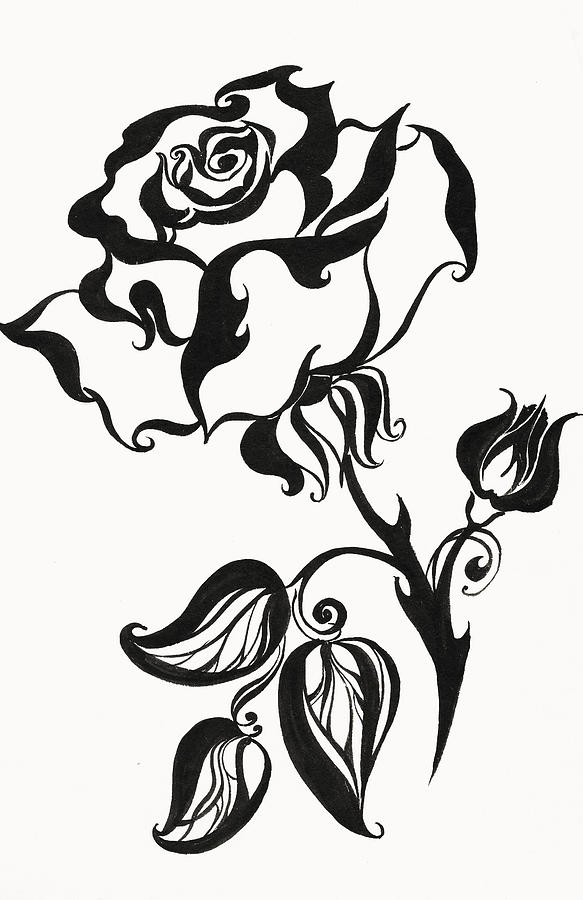 583x900 Black And White Rose Drawings Fine Art America - Rainbow Drawing Black And White