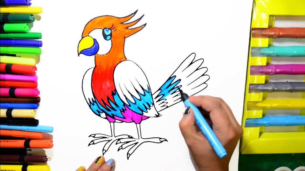 1024x576 enormous bird pictures for kids to color draw paint rainbow - Rainbow Drawing For Kids