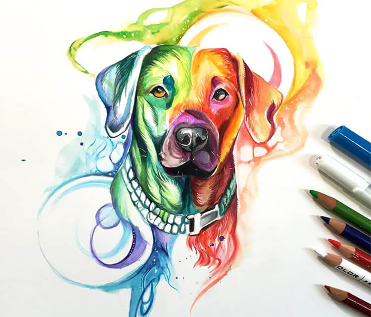 750x640 Rainbow Dog Color Drawing - Rainbow Drawing Pictures