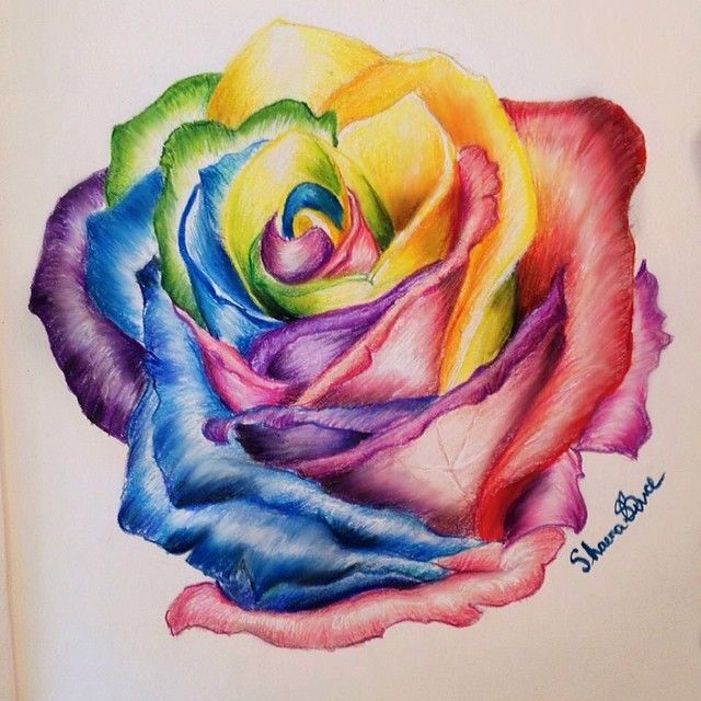 640x640 Rainbow Flower Drawing - Rainbow Drawing Pictures
