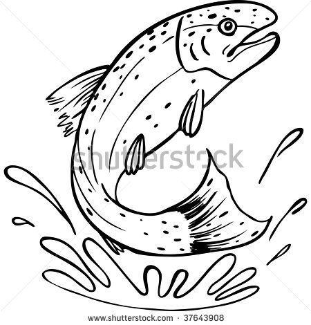 450x470 Rainbow Trout Pictures Free Trout Line Art Stock Photo - Rainbow Line Drawing