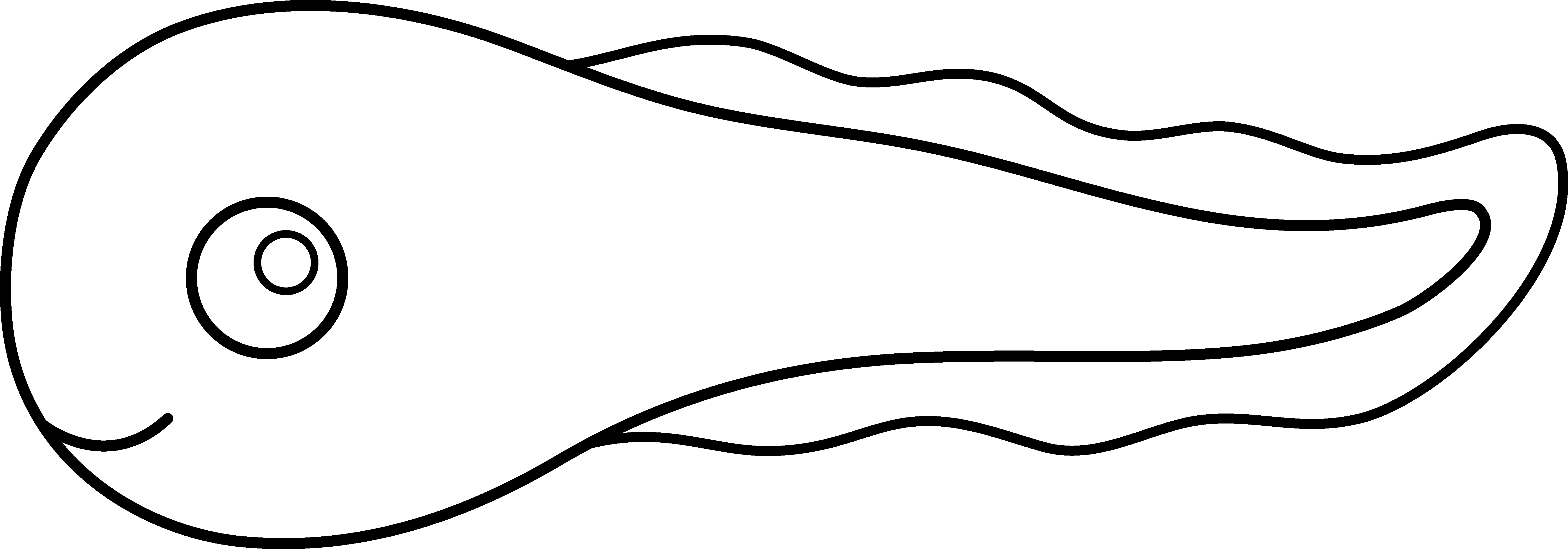 5973x2091 Cute Tadpole Line Art Those Dots Are Calling Art, Clip Art - Rainbow Line Drawing