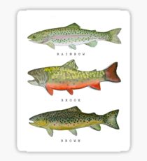 210x230 rainbow trout drawing stickers redbubble - Rainbow Trout Drawing