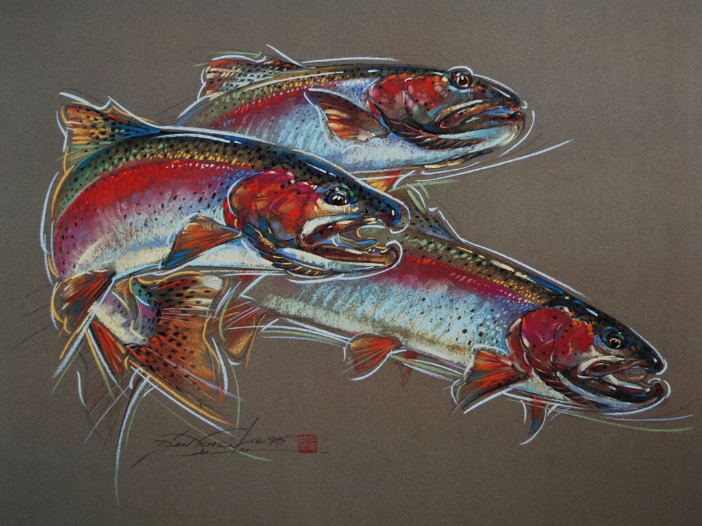 1024x768 rainbow trout print of pastel drawing dan chen - Rainbow Trout Drawing