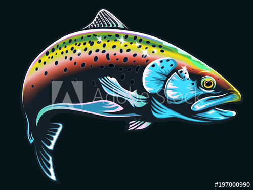 Rainbow Trout Drawing at PaintingValley.com | Explore collection of ...