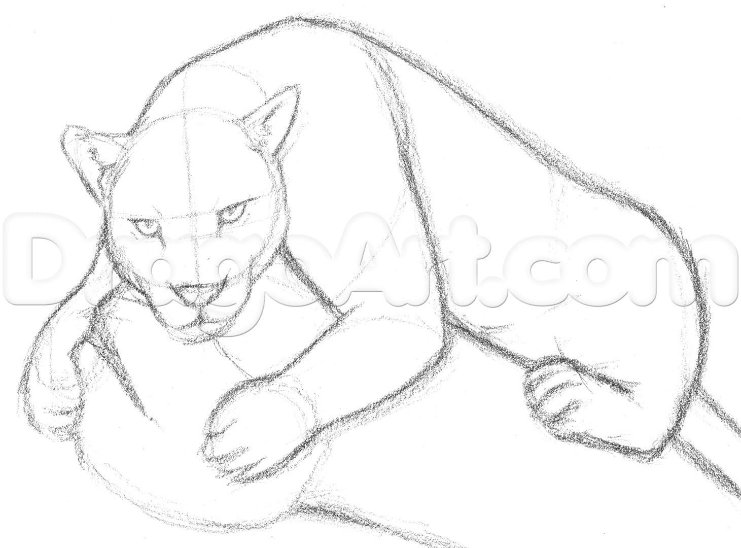 1461x1080 how to draw a jaguar with learn how to draw a jaguar rainforest - Rainforest Animals Drawings