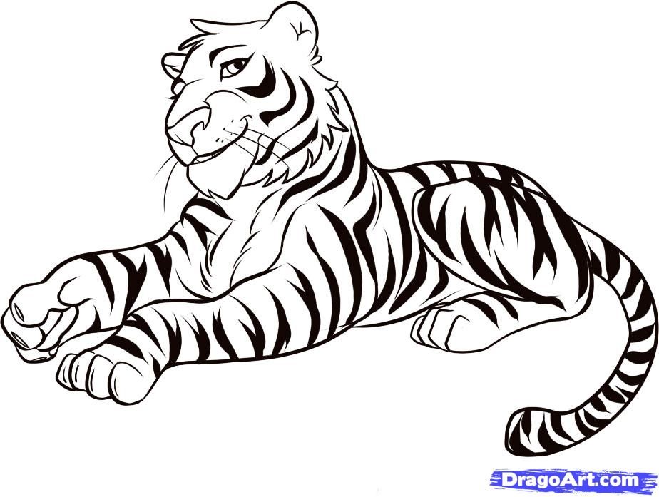 924x697 How To Draw A Tiger, Step - Rainforest Animals Drawings