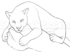 236x174 rainforest animals online drawing how to draw a easy jaguar - Rainforest Animals Drawings