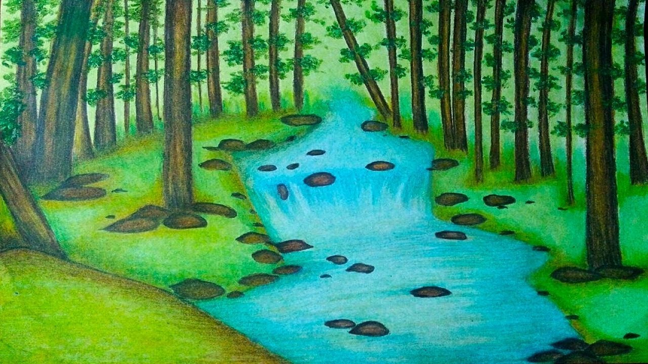 Rainforest Drawing at PaintingValley.com | Explore collection of