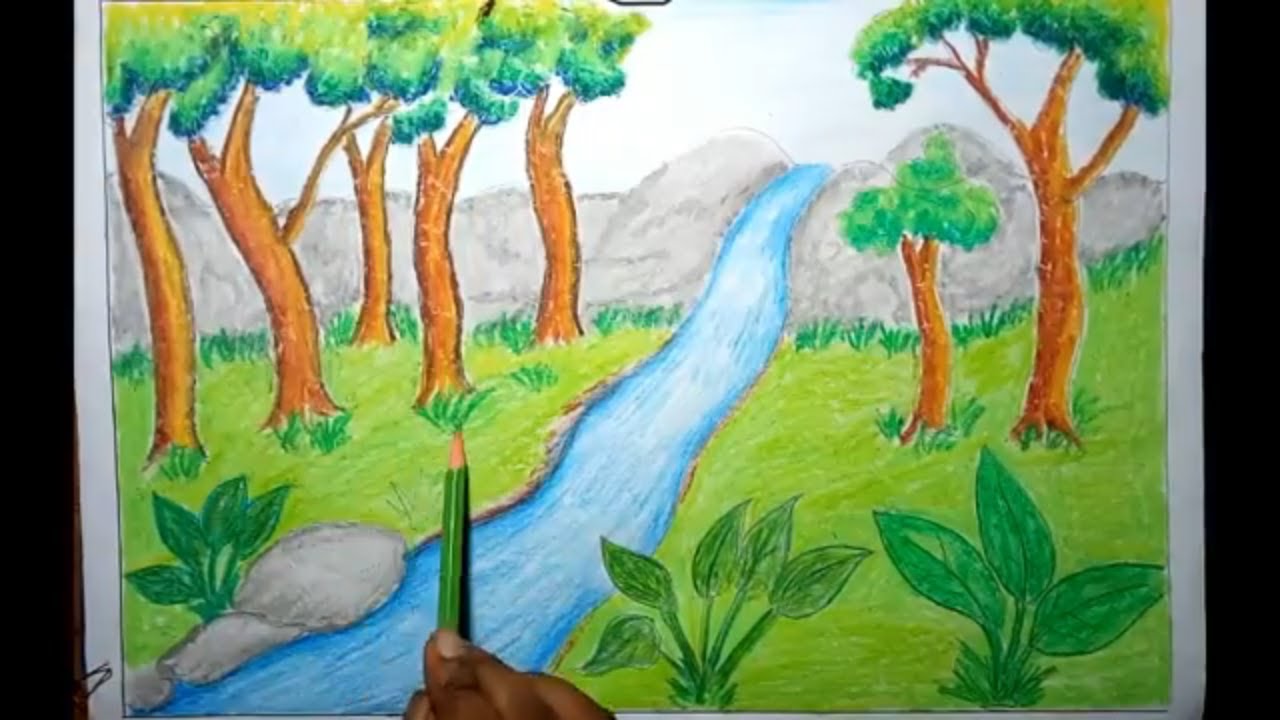 Rainforest Drawing at Explore collection of