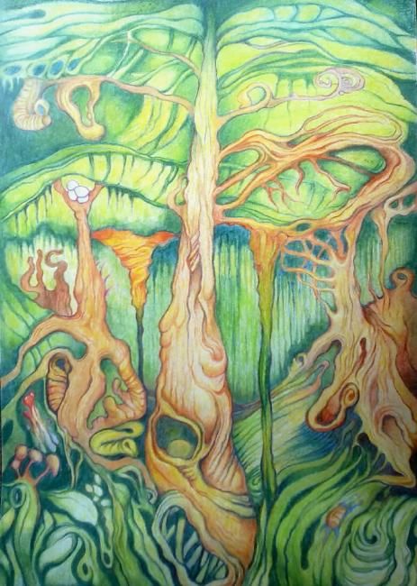 Rainforest Drawing at PaintingValley.com | Explore collection of