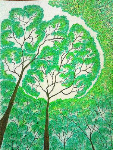 Rainforest Drawing at PaintingValley.com | Explore collection of