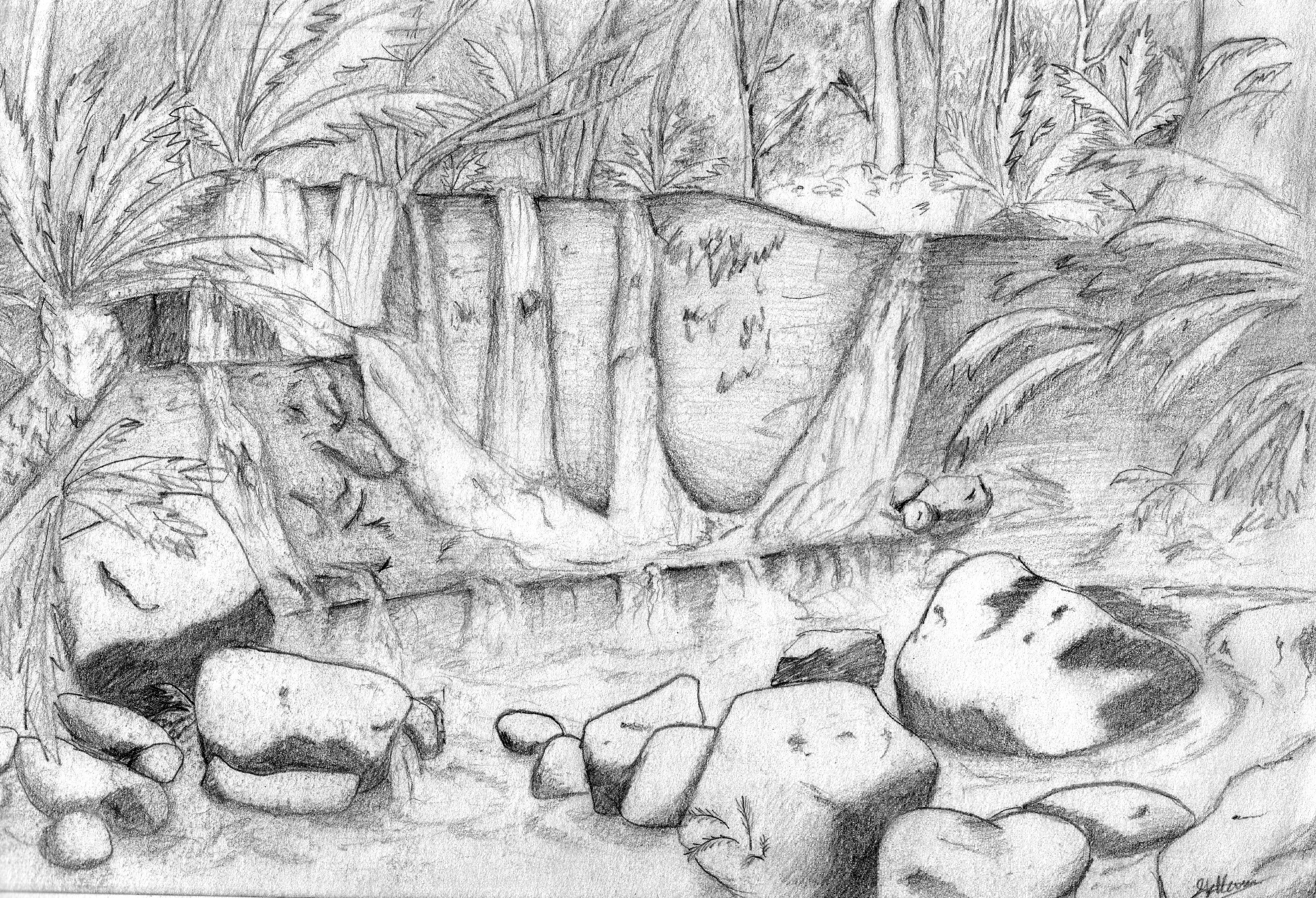3304x2254 rainforest drawing scenery for free download - Rainforest Drawing