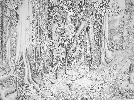 Rainforest Drawing at PaintingValley.com | Explore collection of