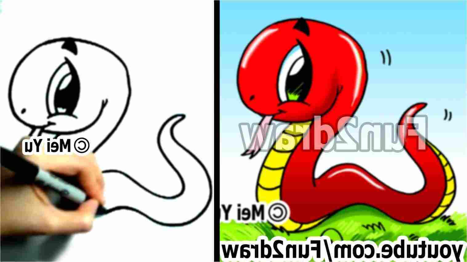 1517x853 easy drawings of rainforest animals - Rainforest Drawing Easy