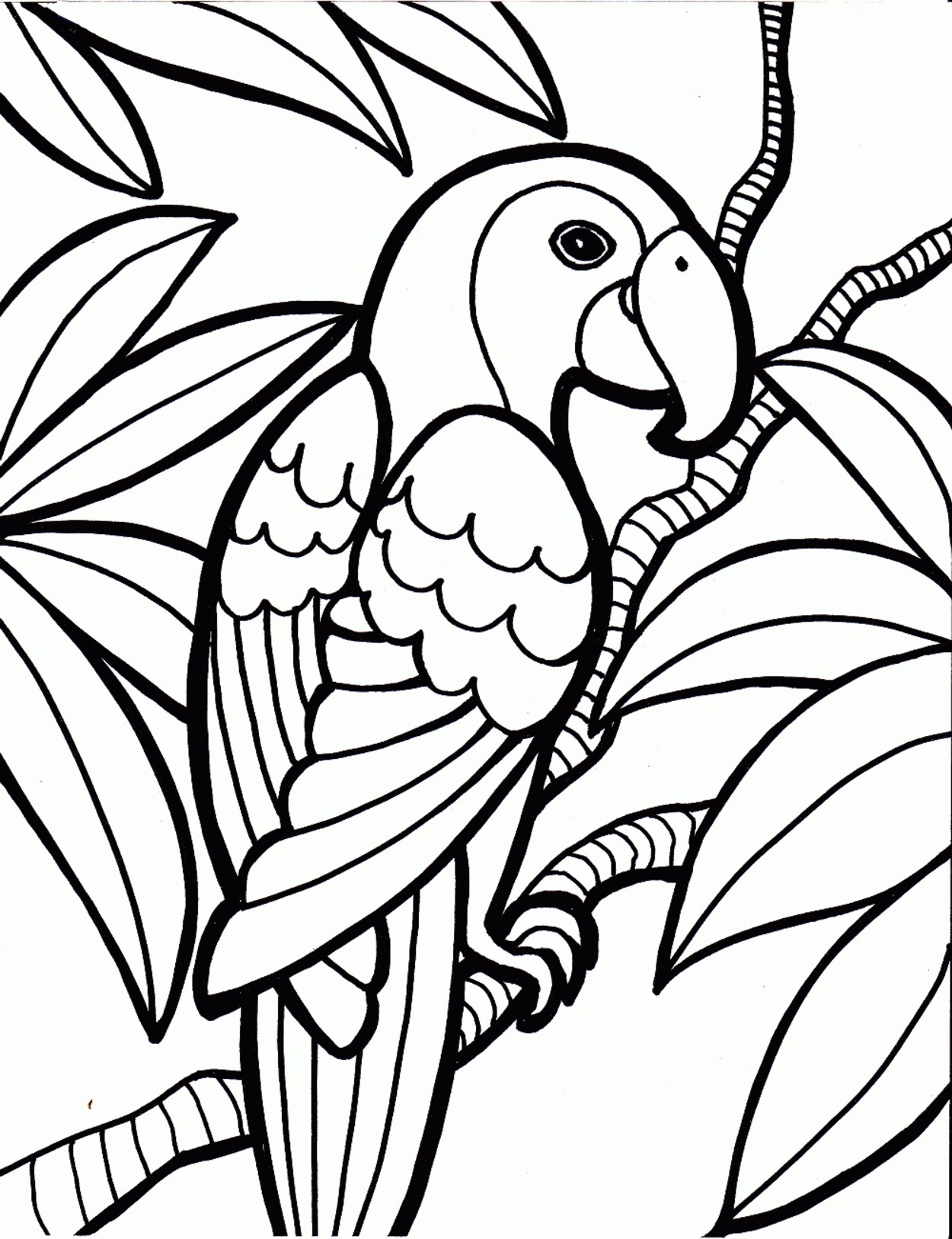 Rainforest Drawing Easy at Explore collection of