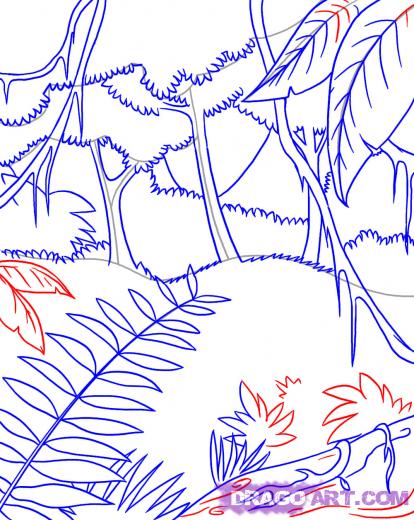 414x520 Step How To Draw A Rainforest - Rainforest Drawing Easy