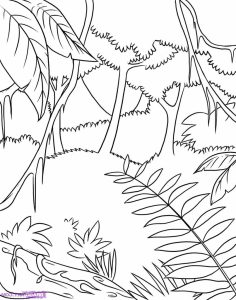 Rainforest Drawing Easy at PaintingValley.com | Explore collection of ...