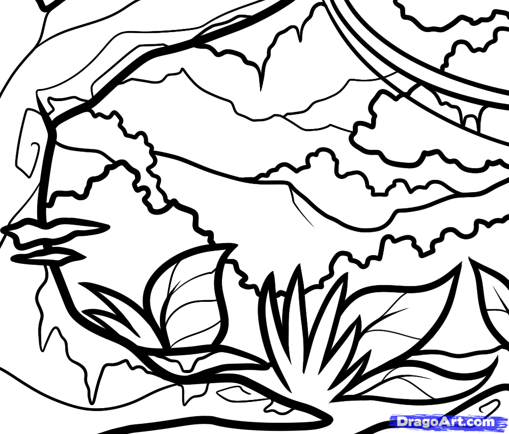 Tropical Rainforest Simple Easy Forest Drawing