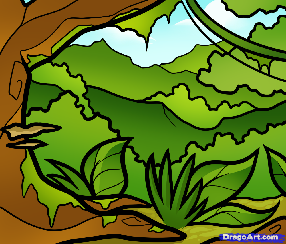 1000x854 How To Draw A Jungle For Kids, Step - Rainforest Drawing For Kids