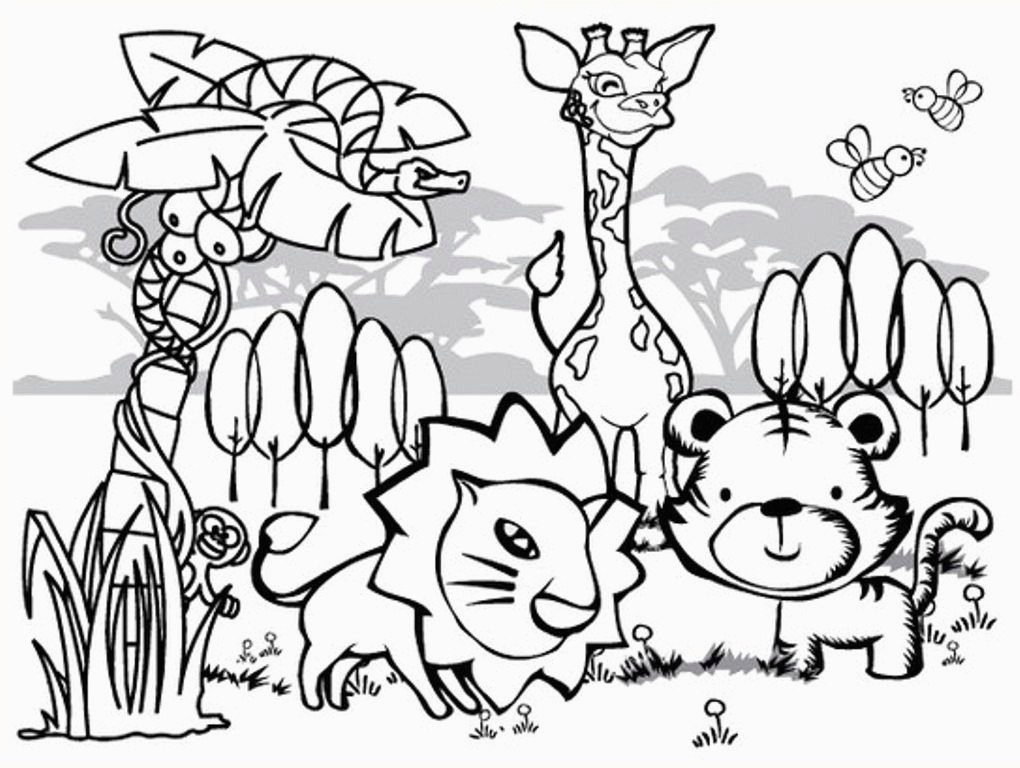 1020x768 Rainforest Coloring Pages For Kids Collection Printable Coloring - Rainforest Drawing For Kids