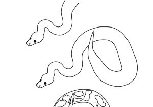 300x210 rainforest drawing for kids how to draw scenery of rainforest - Rainforest Drawing For Kids