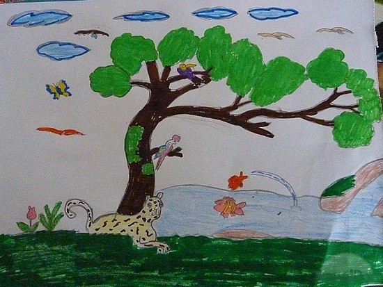 Rainforest Drawing For Kids at PaintingValley.com | Explore collection ...