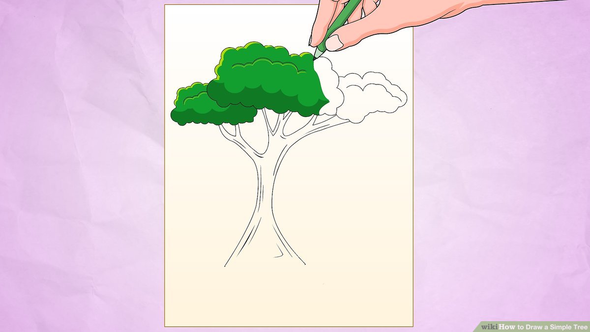 1200x676 How To Draw A Simple Tree Steps - Rainforest Trees Drawing