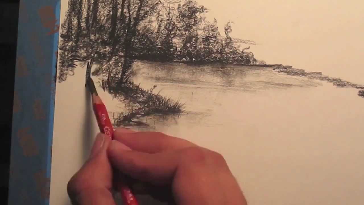 1280x720 how to draw rainforest trees - Rainforest Trees Drawing