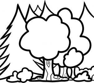 302x268 how to draw how to draw trees for kids - Rainforest Trees Drawing