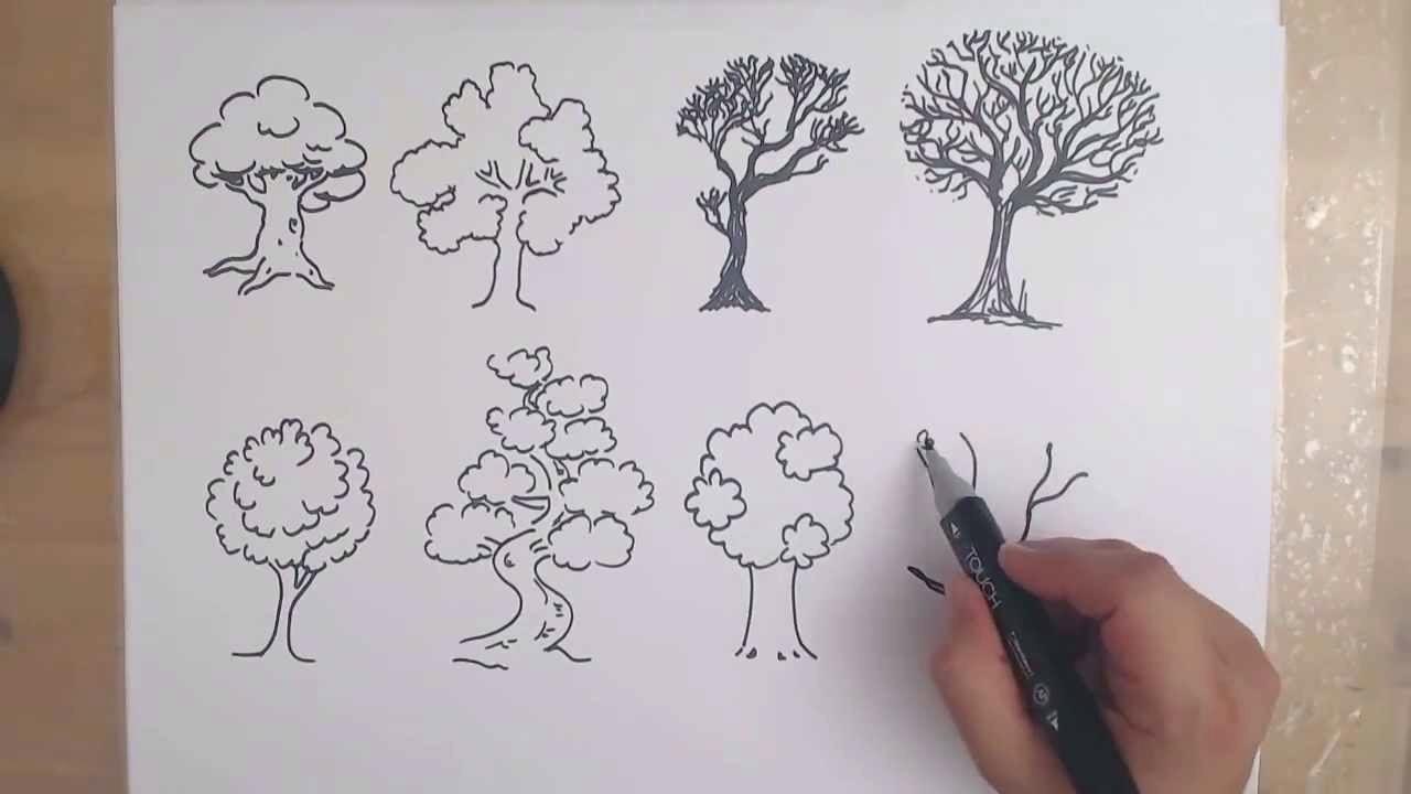 1280x720 rainforest trees drawings rainforest plant drawings mindbodysoul - Rainforest Trees Drawing