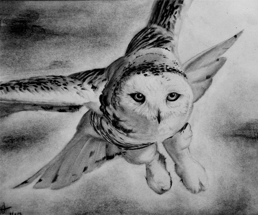 Rainstorm Drawing at Explore collection of Rainstorm Drawing