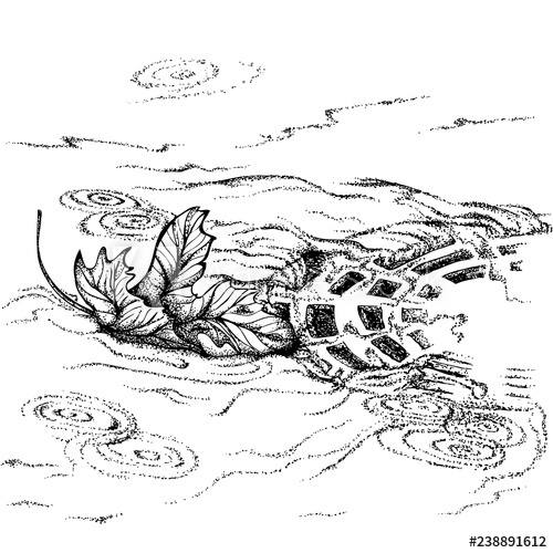 500x500 maple leaf floating in the drain in rainy weather vector hand - Rainy Weather Drawing