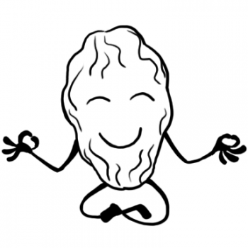 350x350 mindfulness - Raisin Drawing